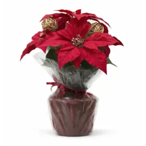 Bouquet fleurs rouge noël
