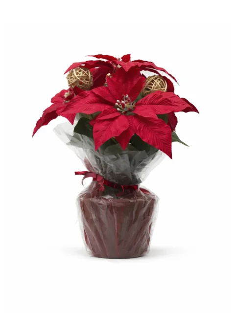 Bouquet fleurs rouge noël