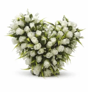 Coeur rose blanche, feuillage