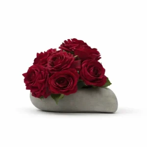 Coeur rose rouge