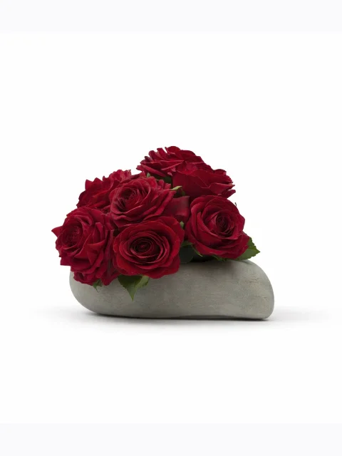 Coeur rose rouge