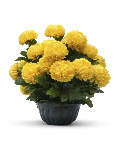 Composition fleurs jaune