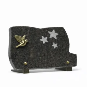 Plaque granit bronze oiseau motif étoile