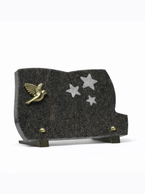 Plaque granit bronze oiseau motif étoile