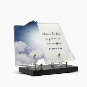 Plaque plexi ciel