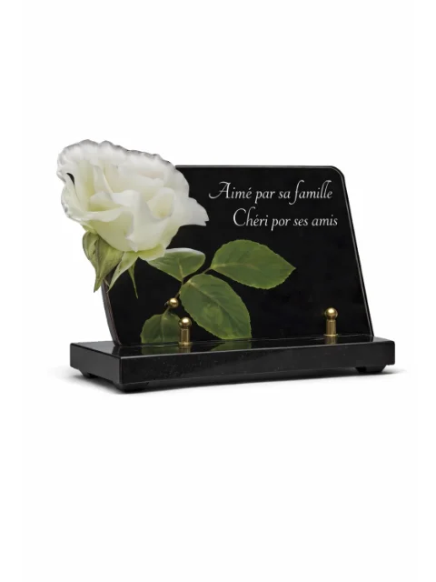 Plaque plexi noir rose blanche