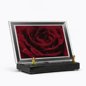 Plaque plexi rose rouge
