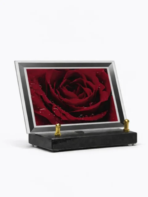 Plaque plexi rose rouge