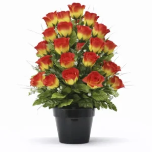 Pot de rose orange dégradé jaune
