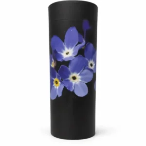 Urne dispertion violette