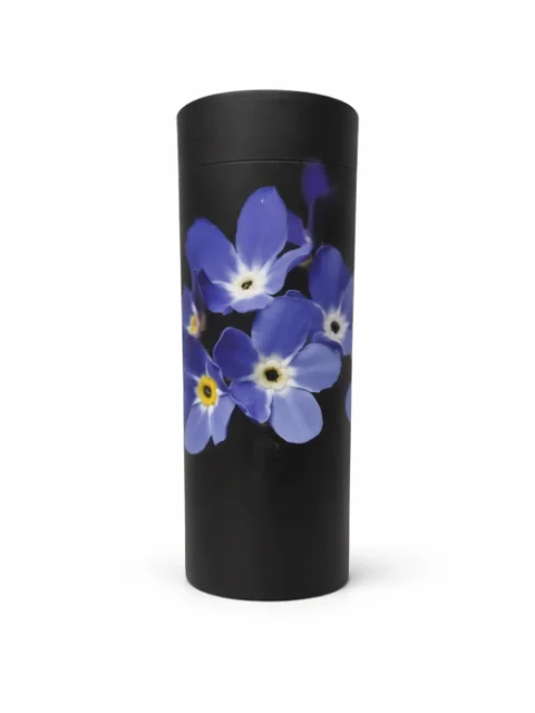 Urne dispertion violette
