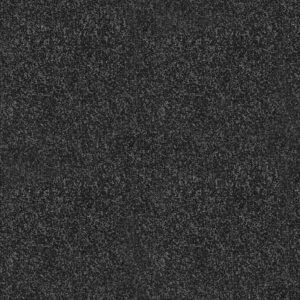 Regal Black